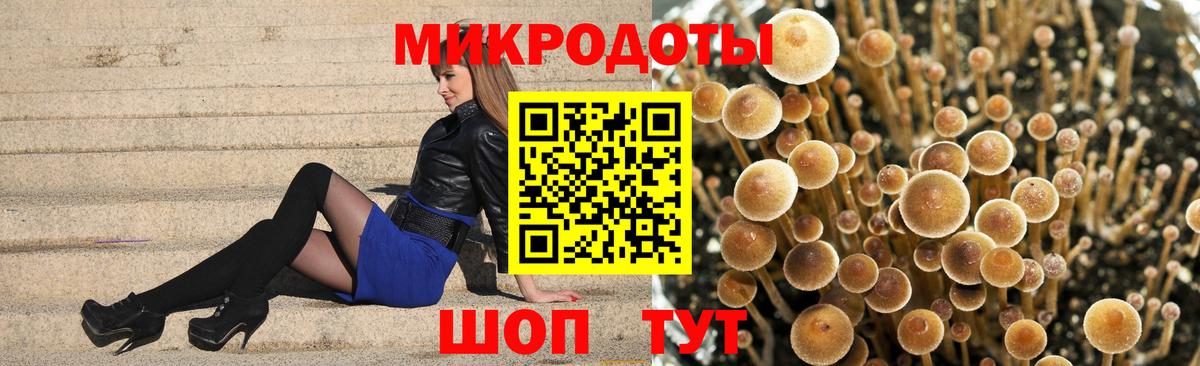 Галлюциногенные грибы Magic Shrooms Северодвинск